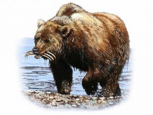 Endzeit Daniel Medien Persien